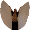 Isis Wings / Opalescent Sheer Organza with Optional Beaded Collar & Optional H&I Specialty Case